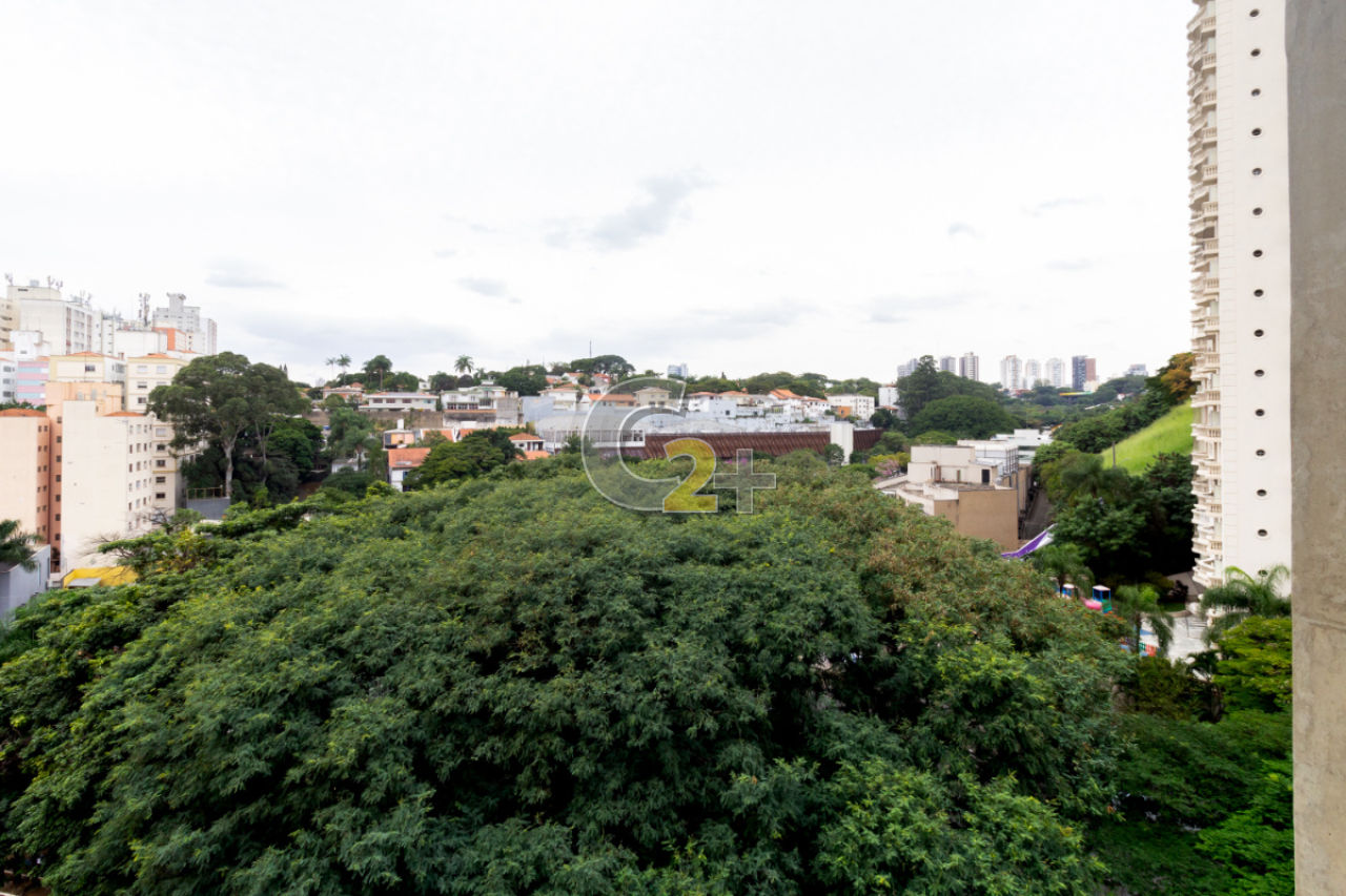 Foto 6 - CC51666