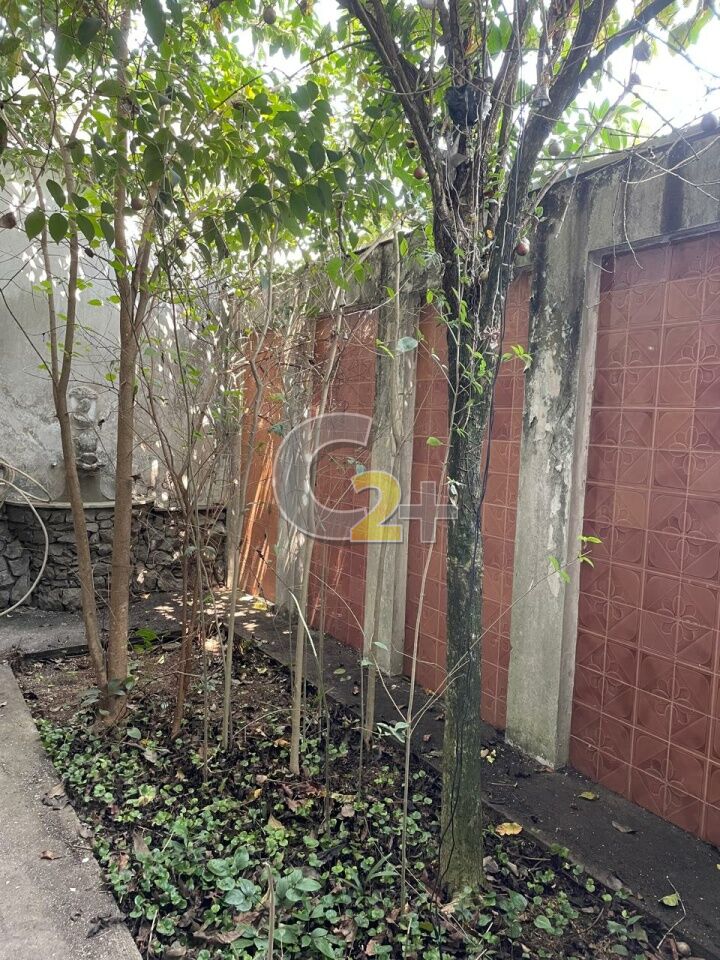 Foto 10 - CC53403