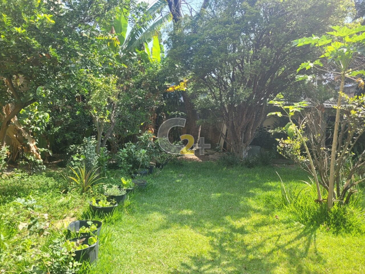 Foto 41 - CC54367