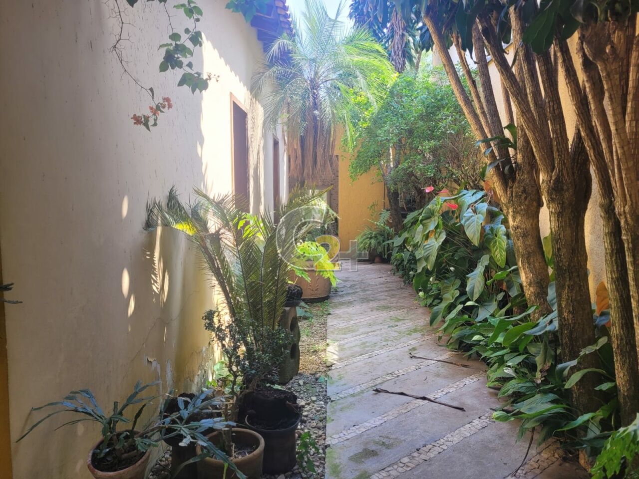 Foto 34 - CC54367