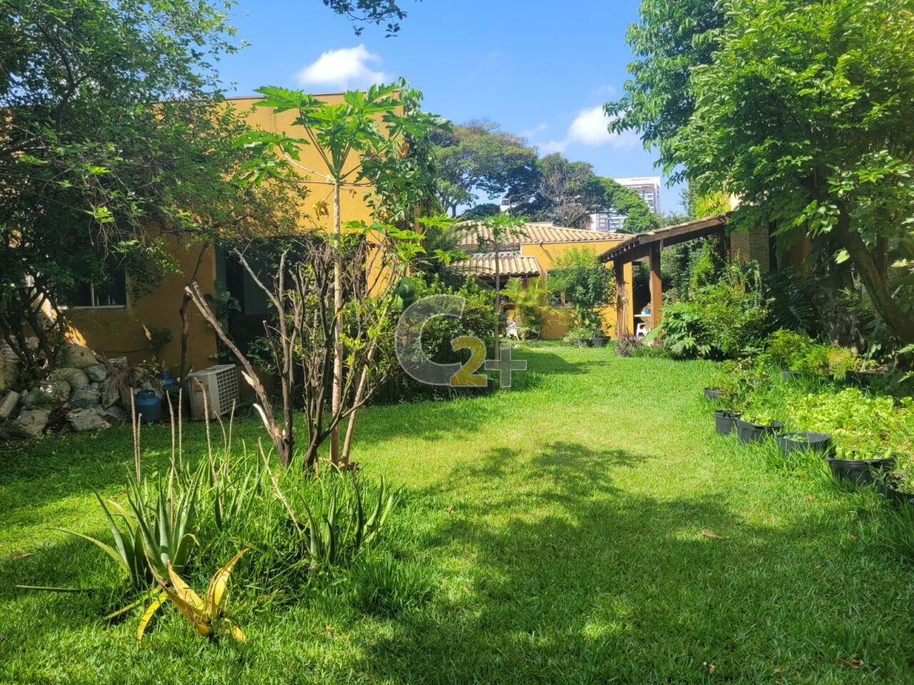 Foto 38 - CC54367