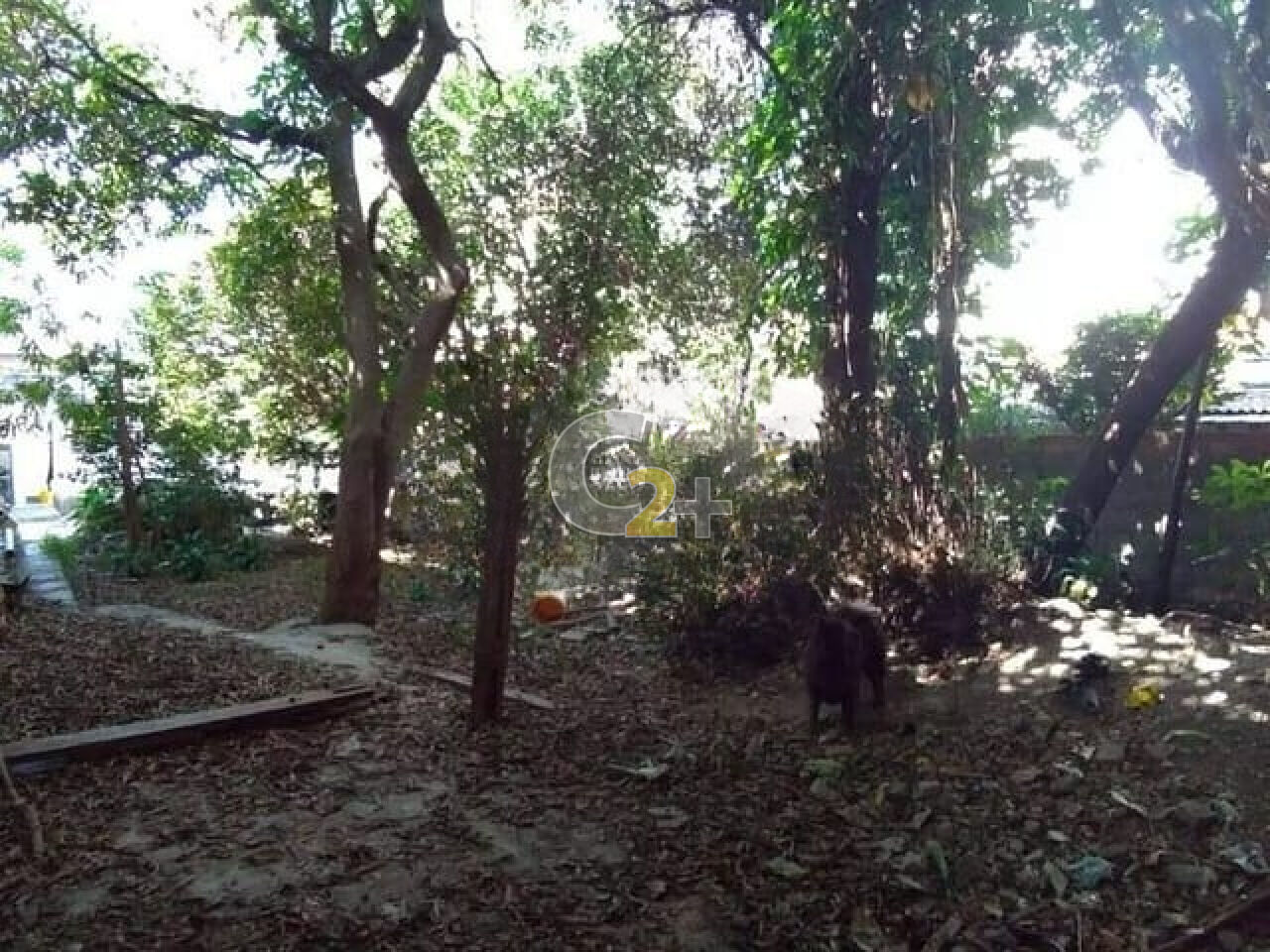 Foto 4 - CC57503