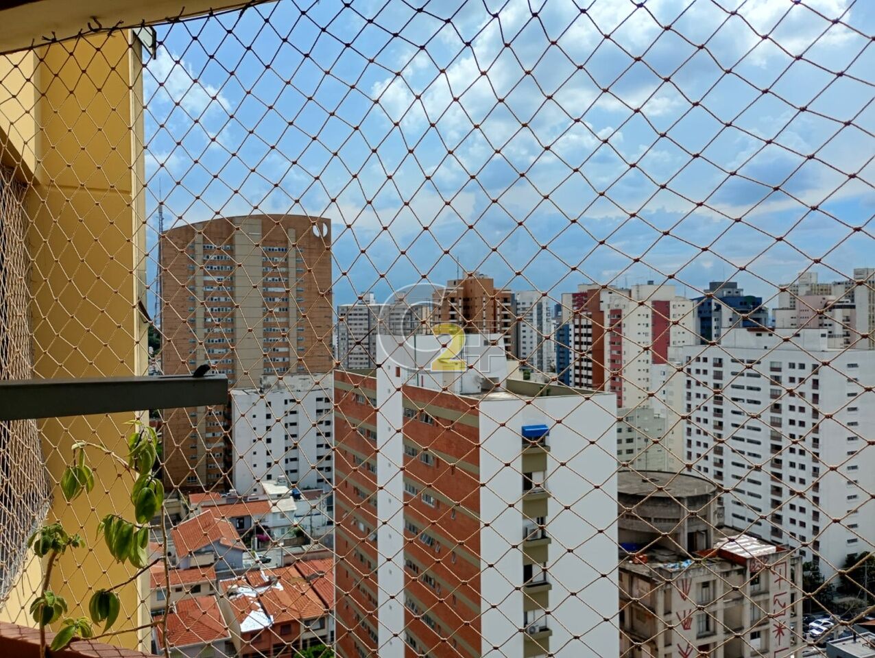 Foto 4 - CC61601