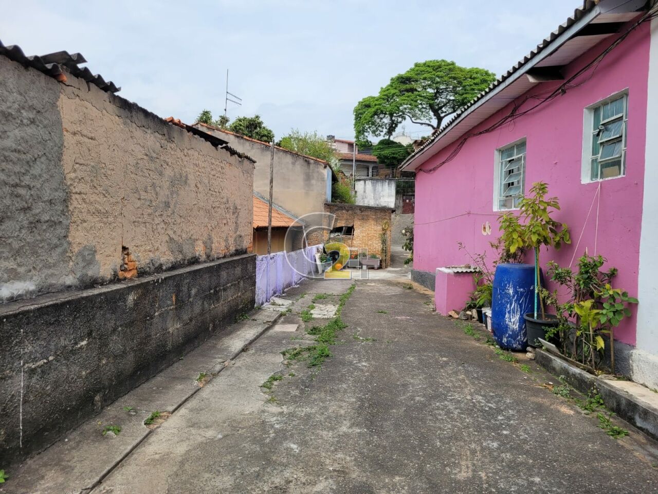 Foto 2 - CC63281