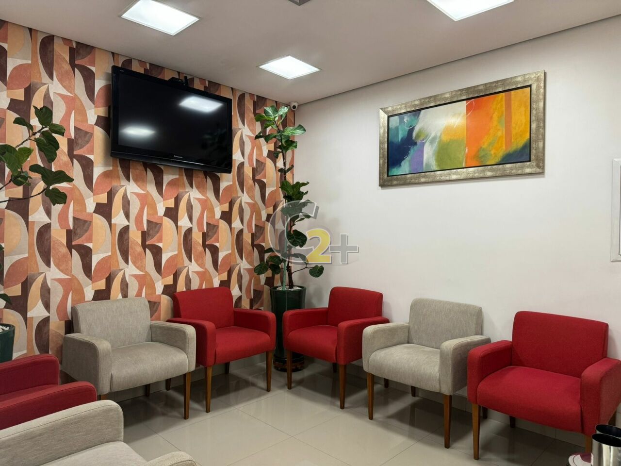 Foto 2 - CC64334