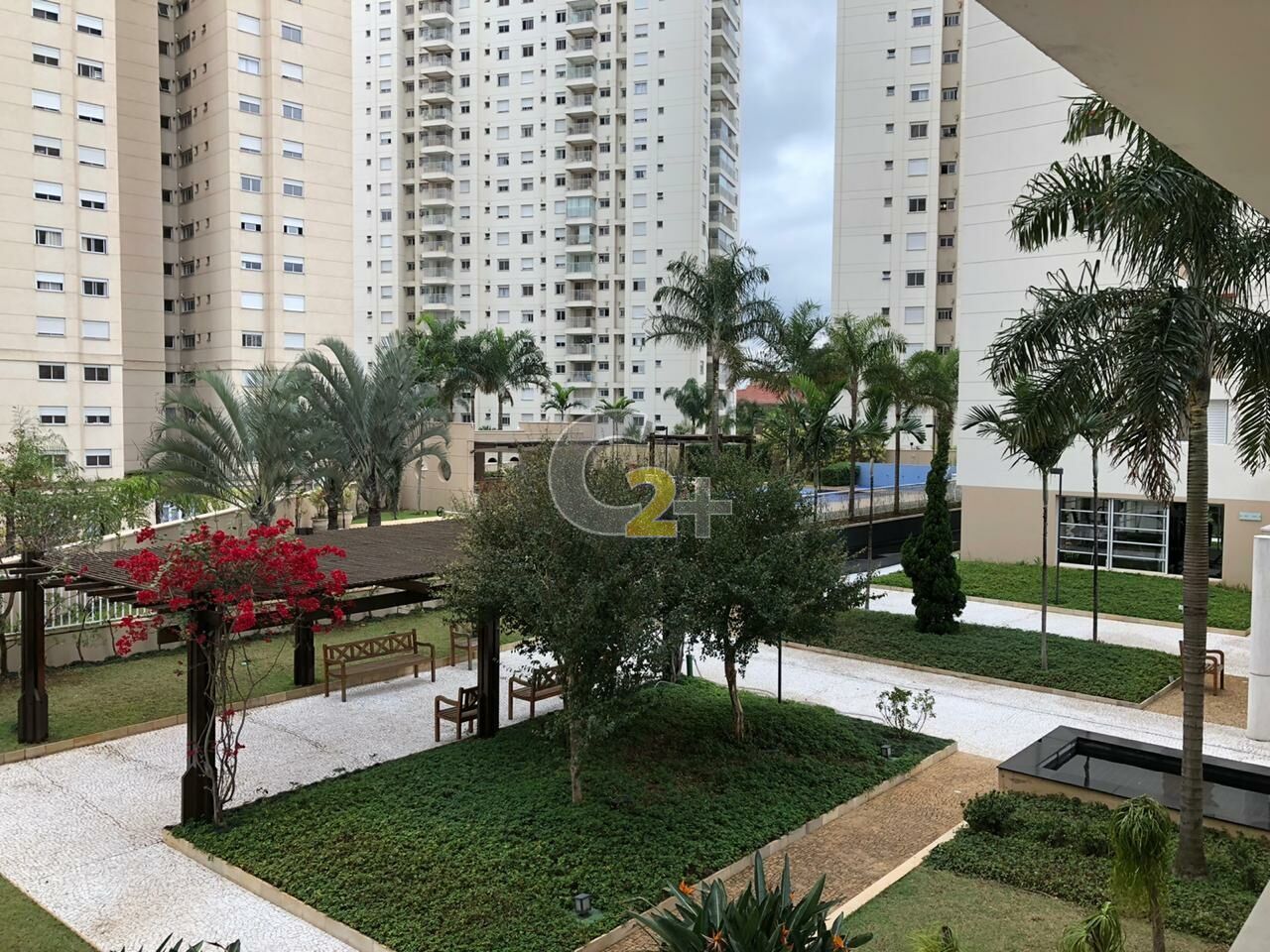 Foto 15 - CC64447