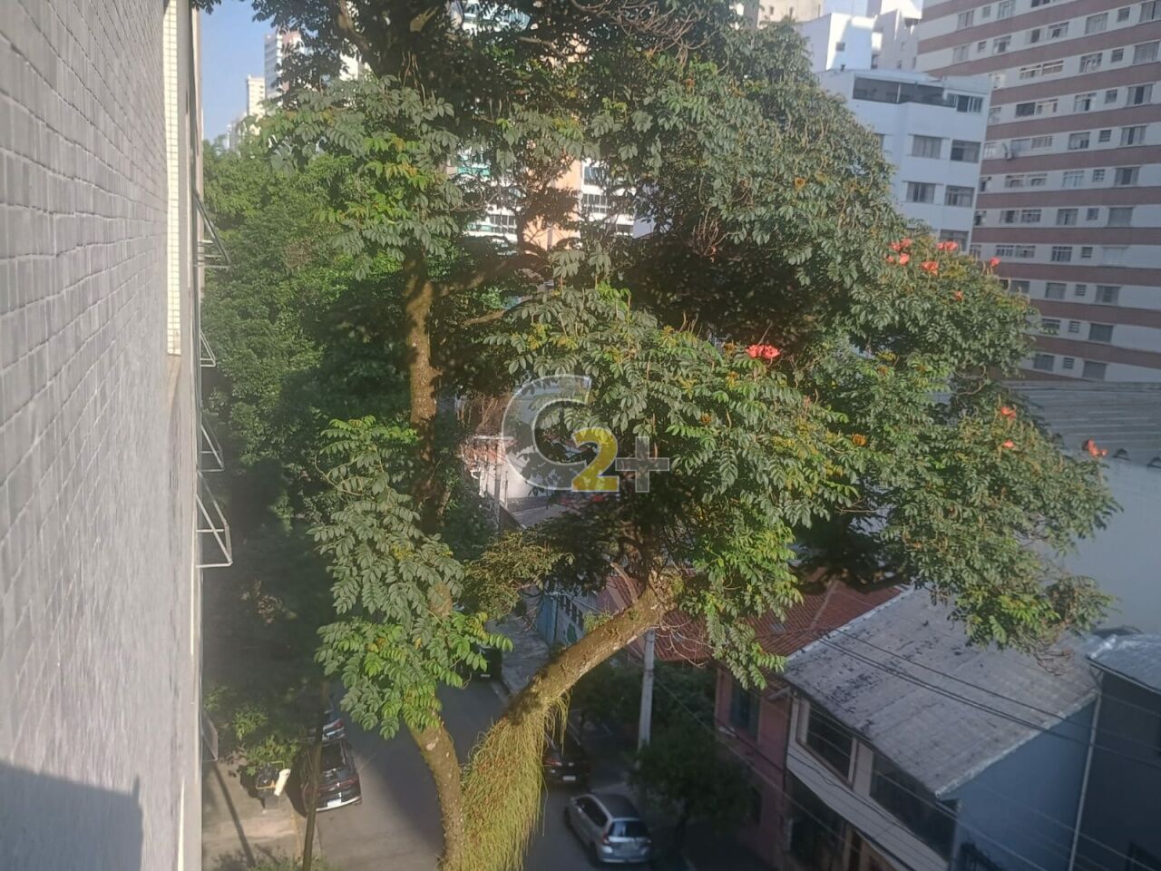 Foto 26 - CC64877
