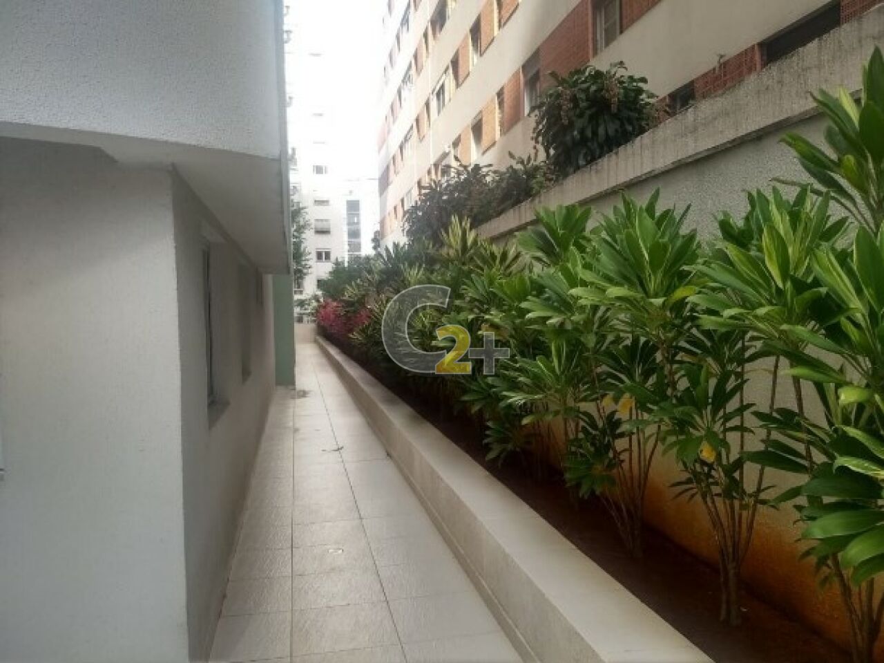 Foto 14 - CC65589