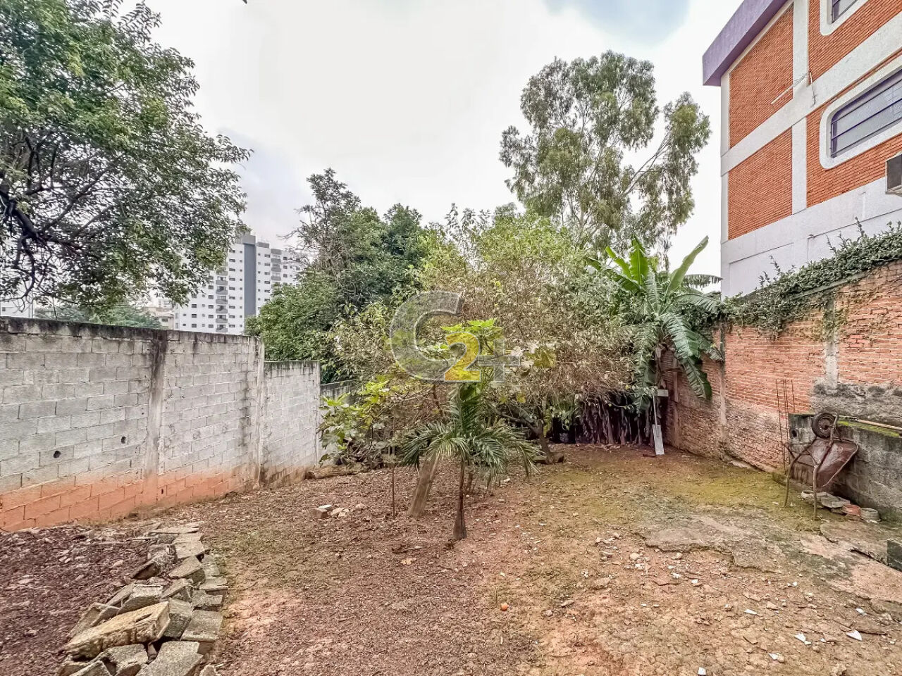 Foto 23 - CC65791