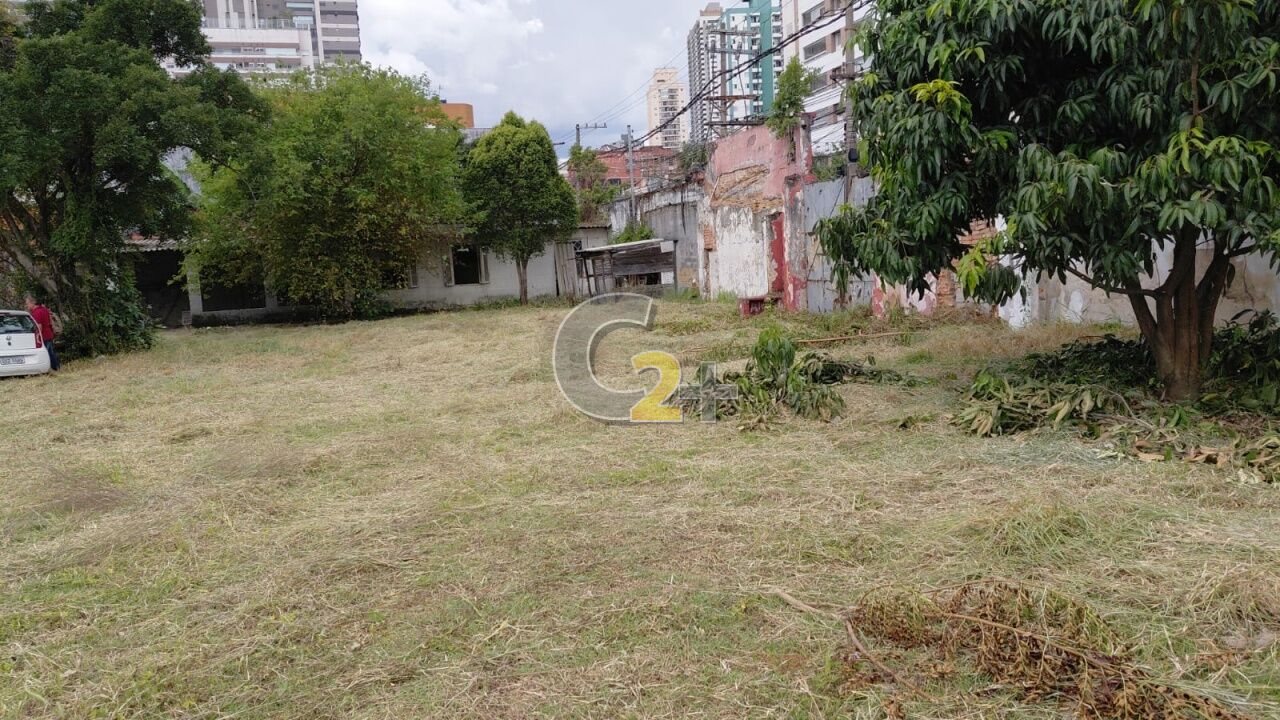 Foto 3 - CC65827