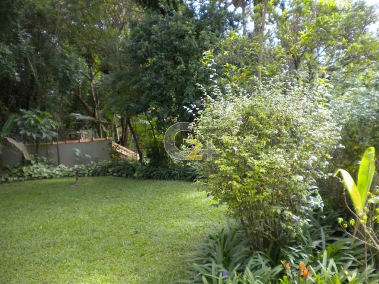 Foto 10 - CC65864