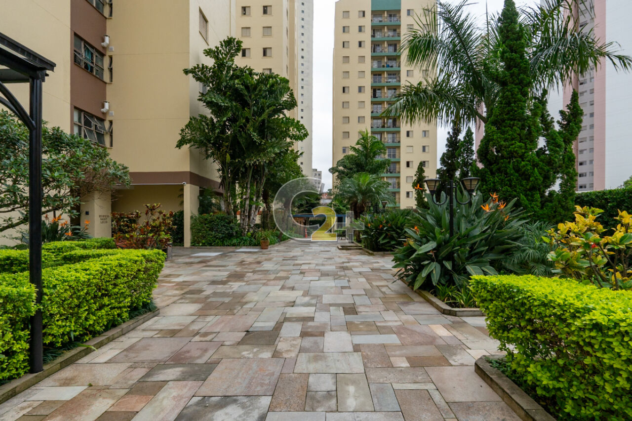 Foto 42 - CC66158
