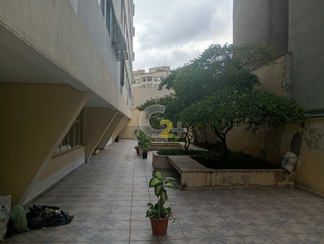 Foto 19 - CC66238
