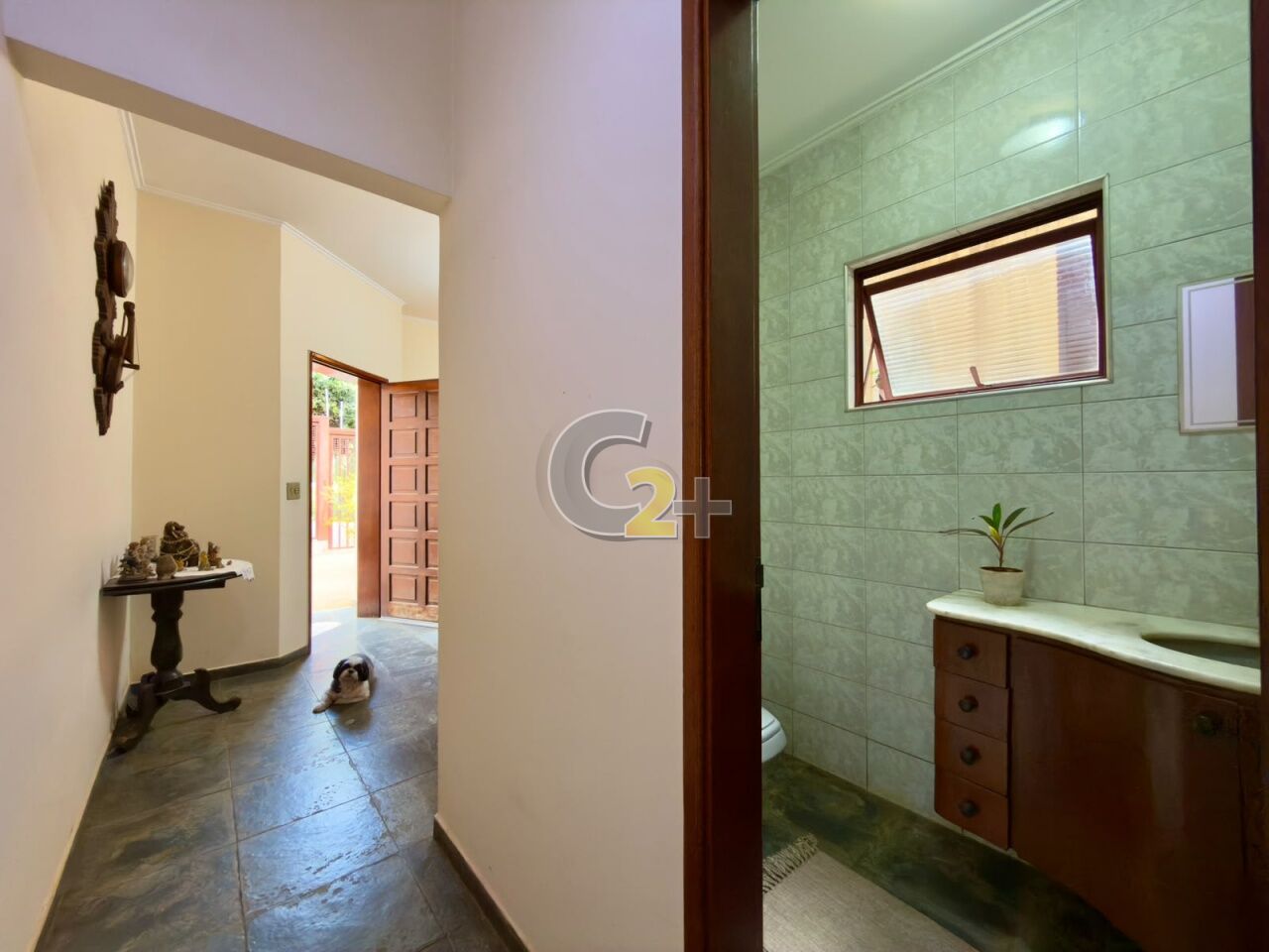 Foto 24 - CC66479