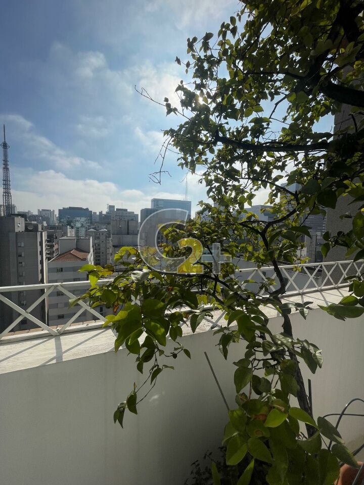 Foto 22 - CC66715