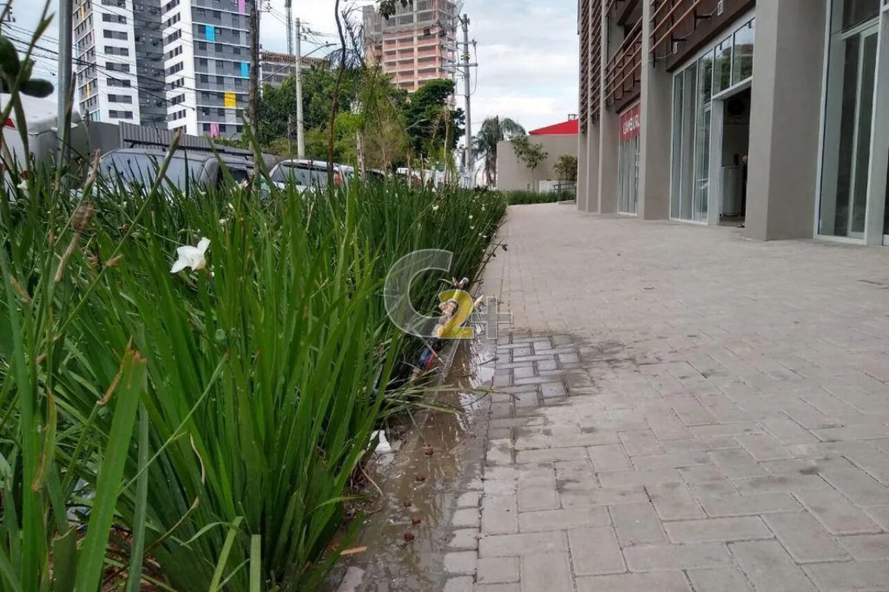 Foto 32 - CC66901
