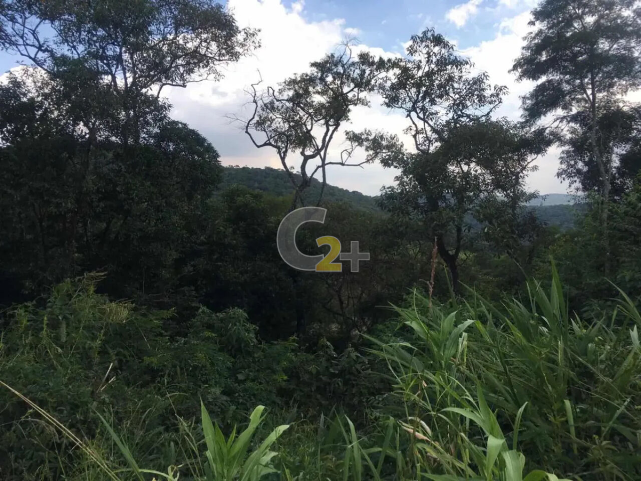 Foto 5 - CC66960