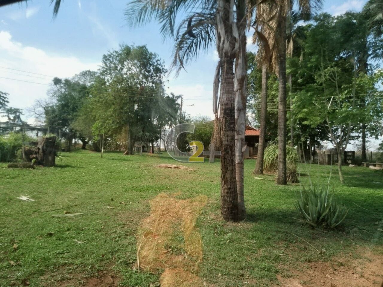 Foto 3 - CC67123