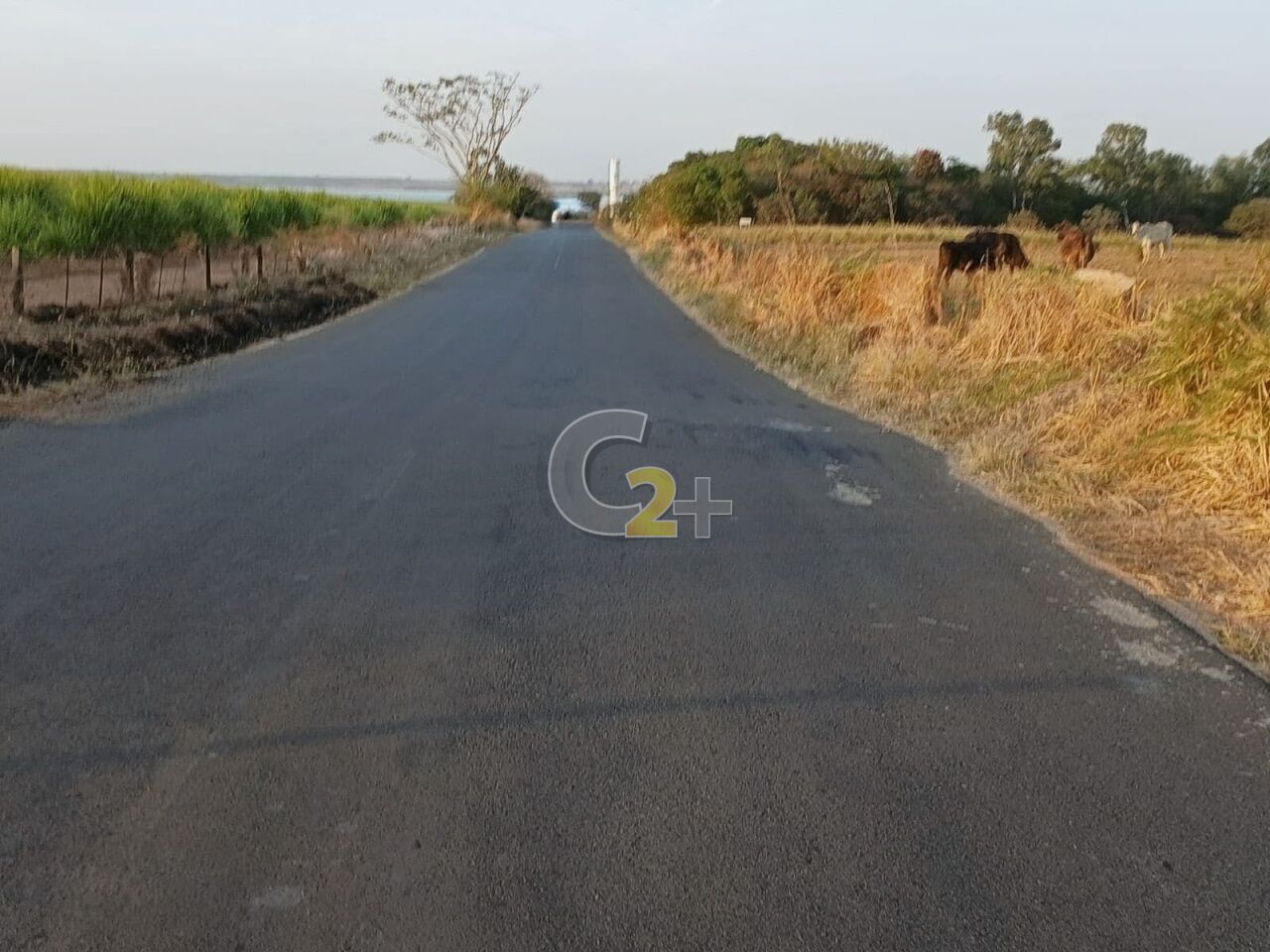 Foto 5 - CC67612