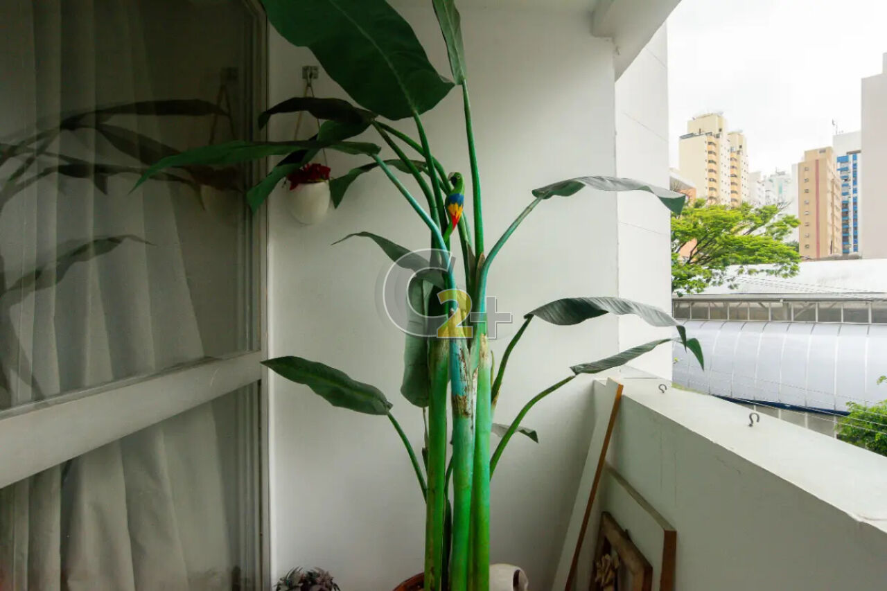 Foto 21 - CC67773