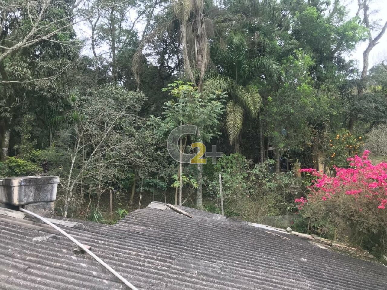 Foto 7 - CC68003