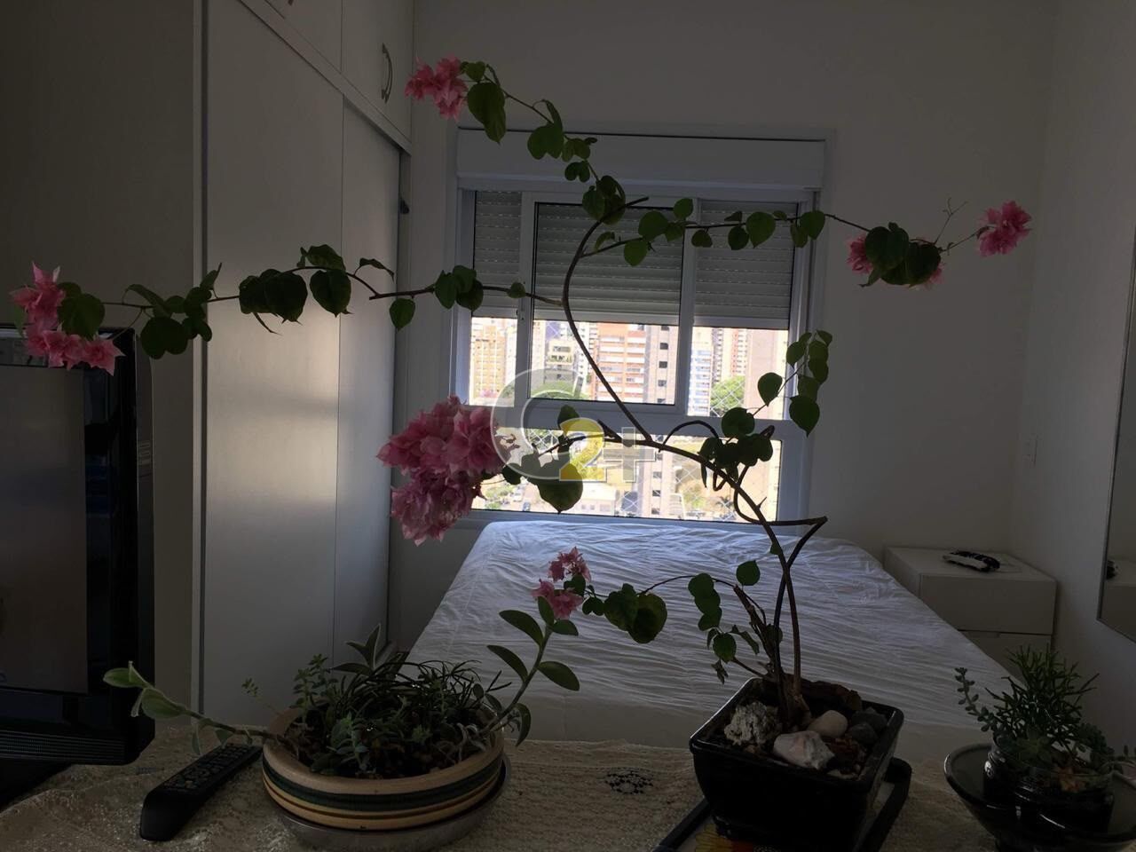 Foto 4 - CC68620