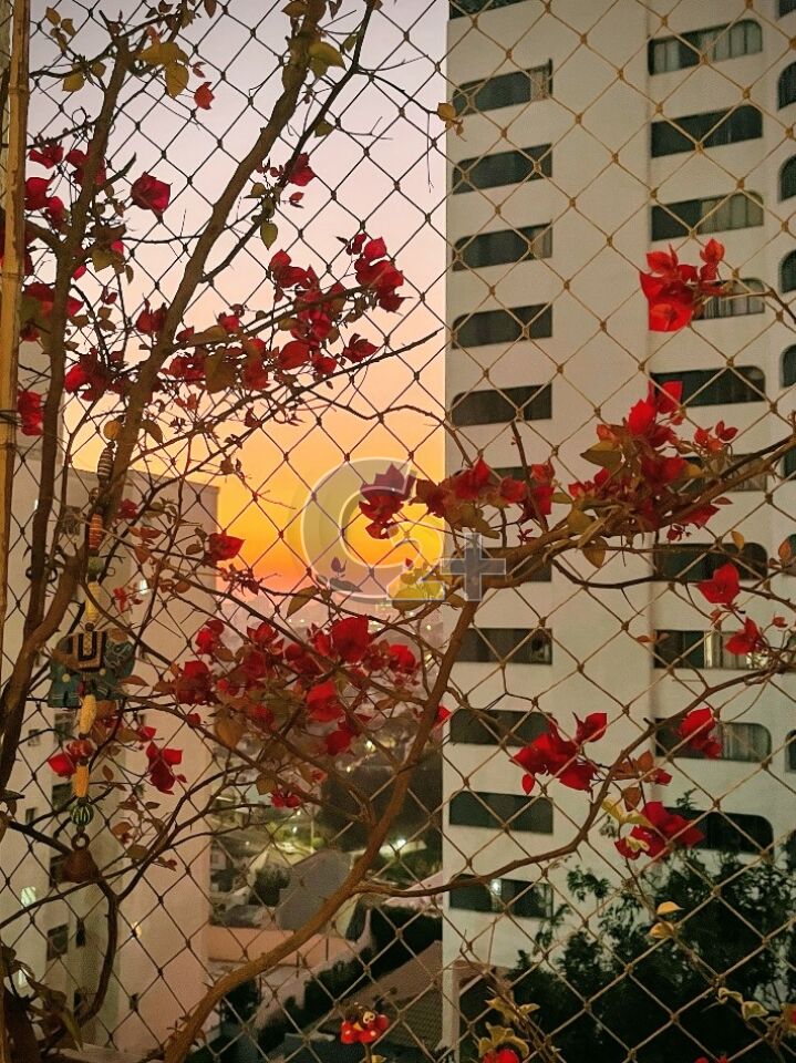 Foto 5 - CC68948