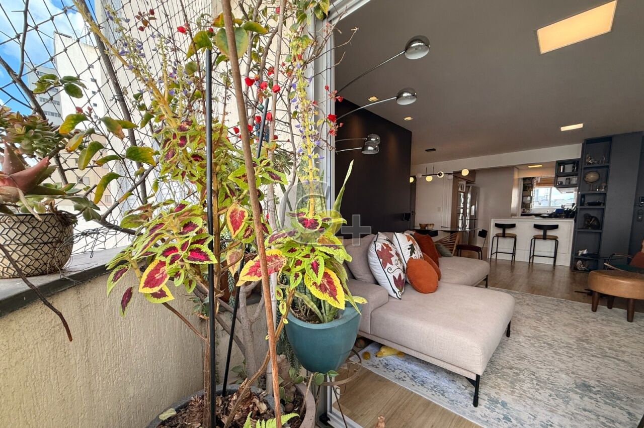 Foto 2 - CC68948