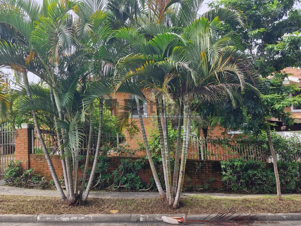 Casa Térrea para Venda - Jardim Londrina