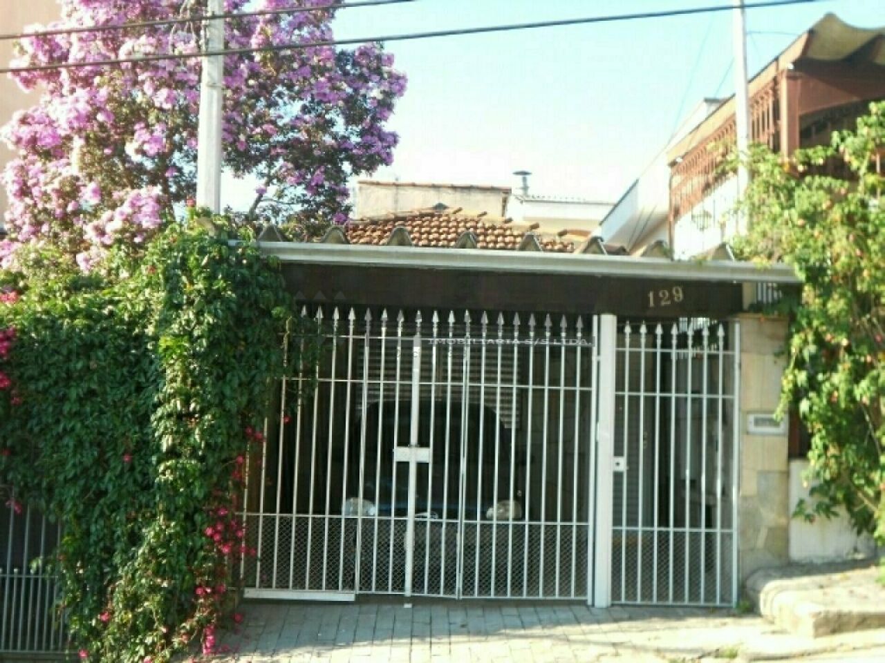 Casa Térrea para Locação - Vila São LuísZona Oeste