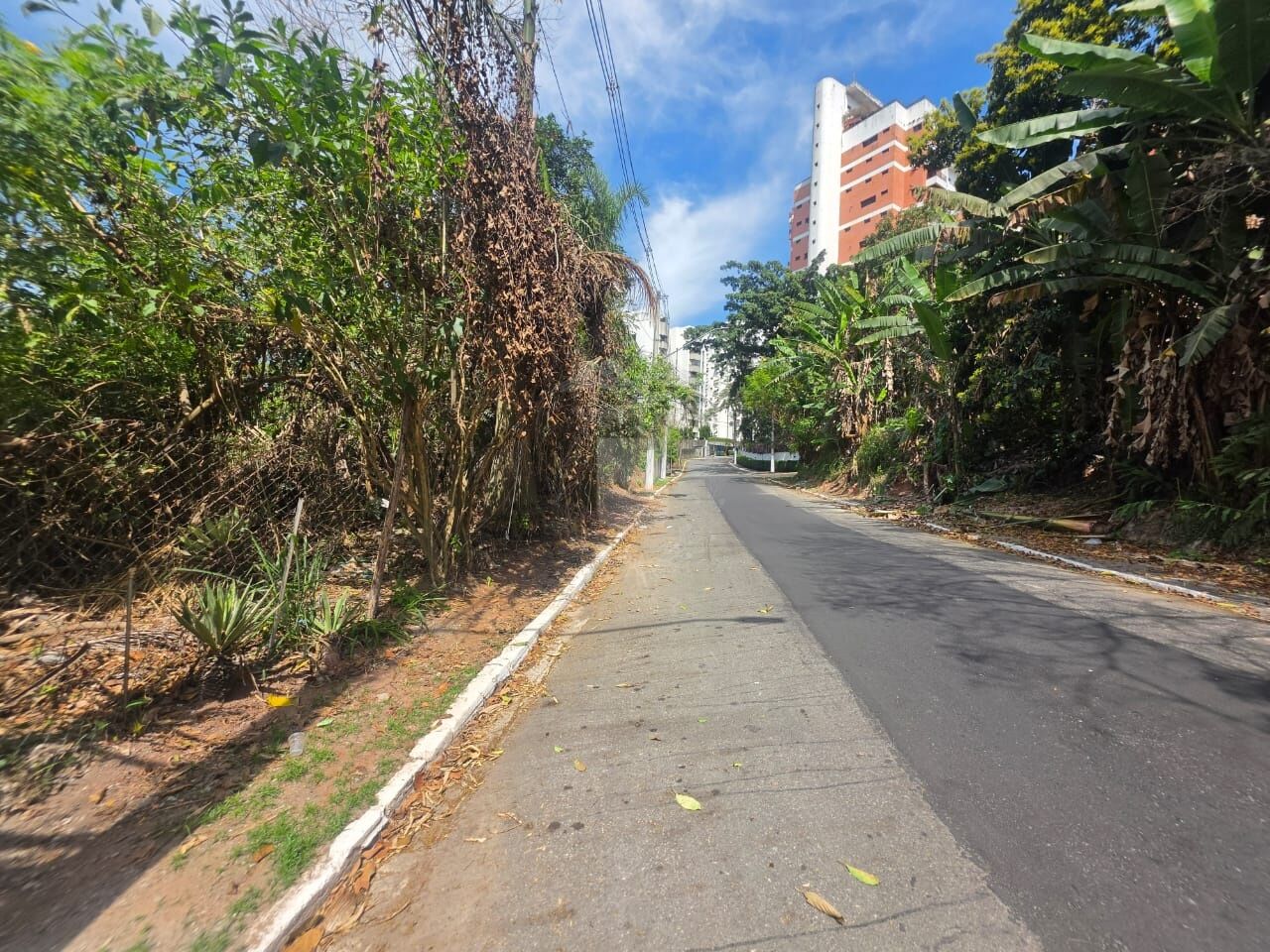 Area para Venda - Morumbi