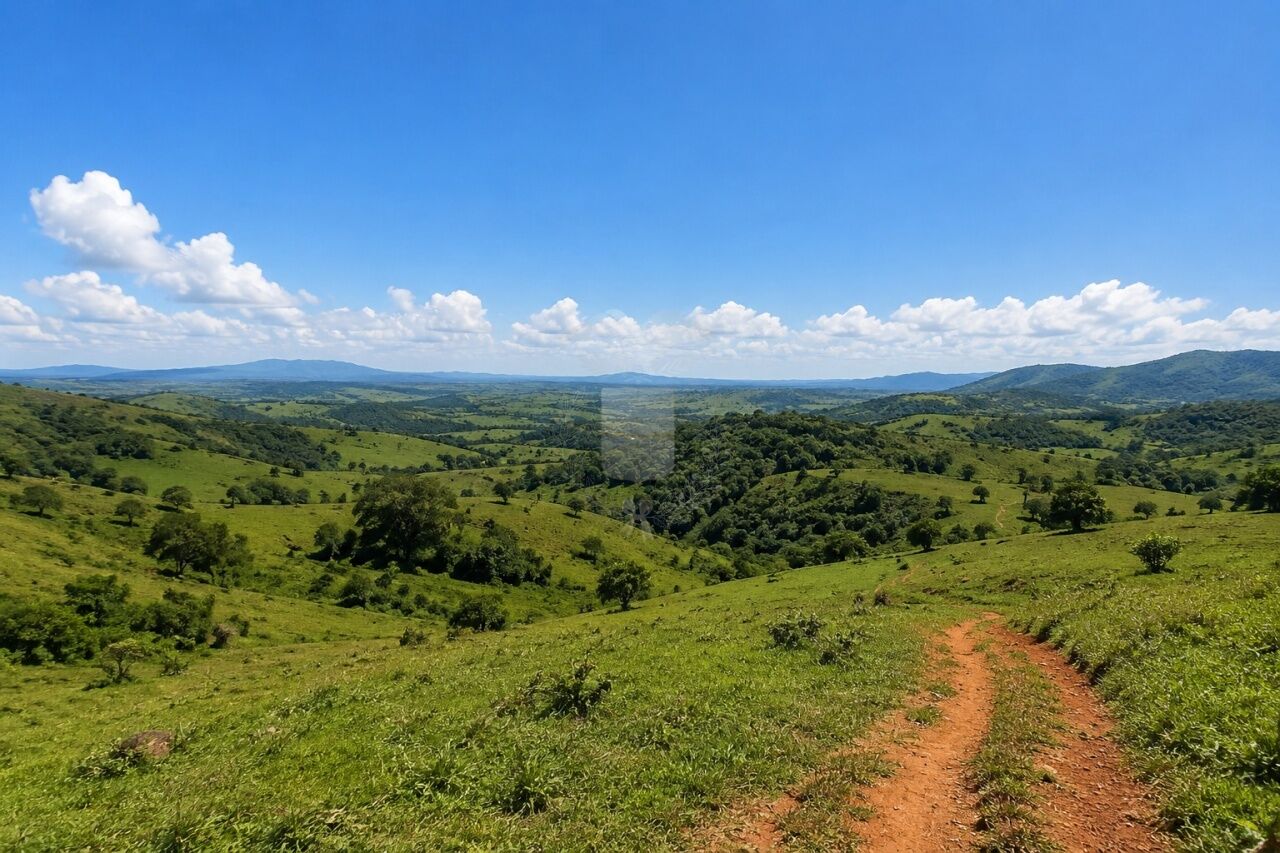 Fazenda para Venda - São Benedito