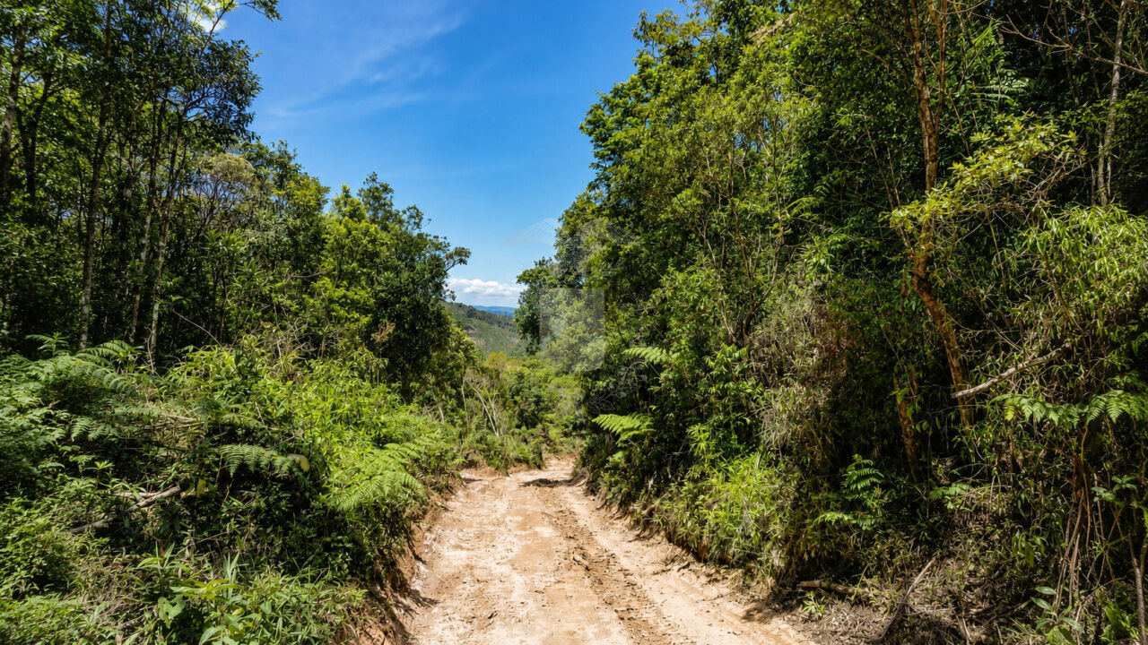 Area para Venda - Grilos