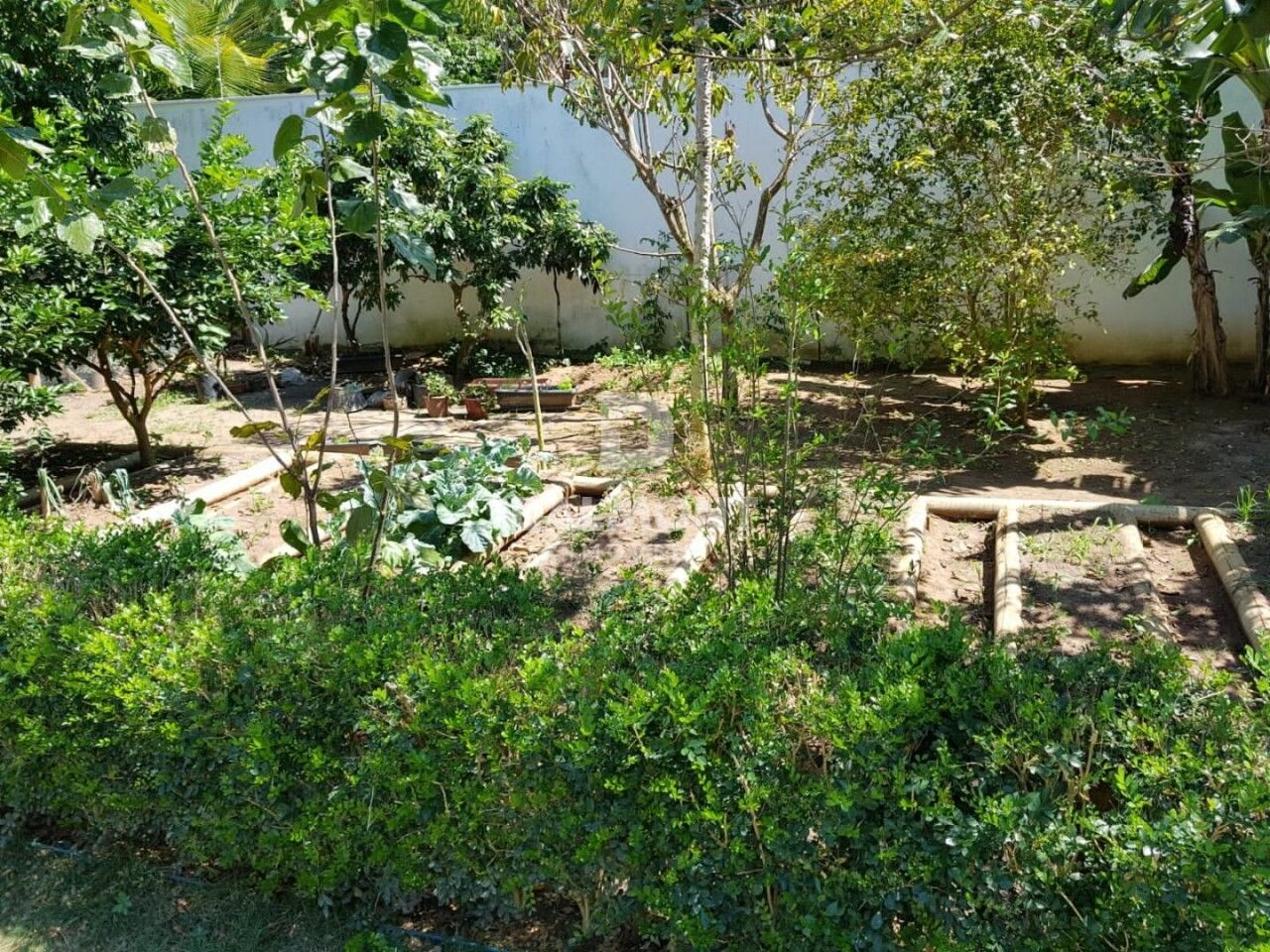Terreno para Venda - Palmeiras