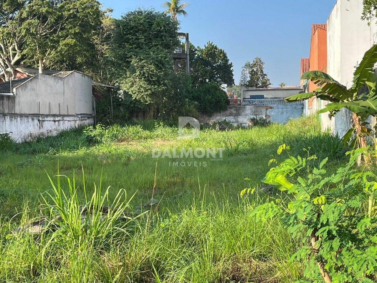 Terreno para Venda - Palmeiras