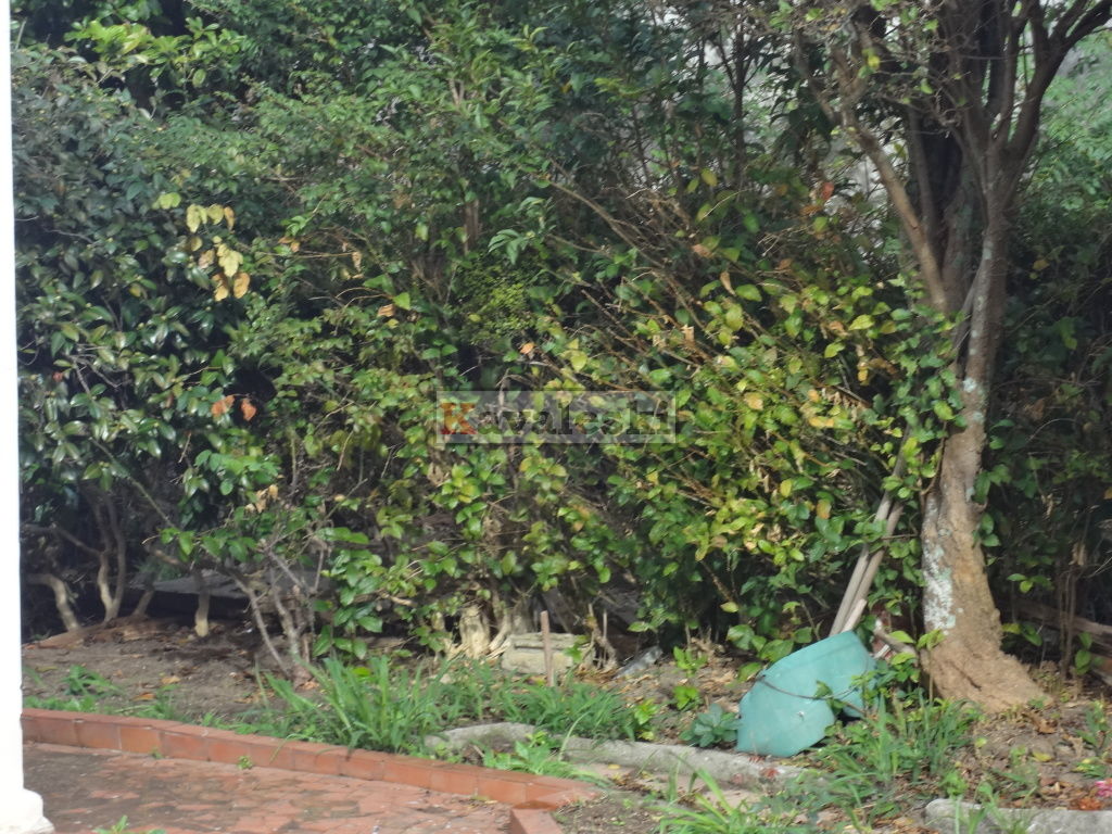 Terreno para Venda - SAÚDE