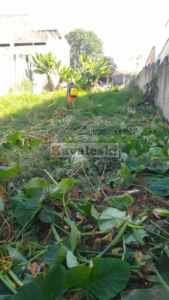 Terreno para Venda - SACOMÃ