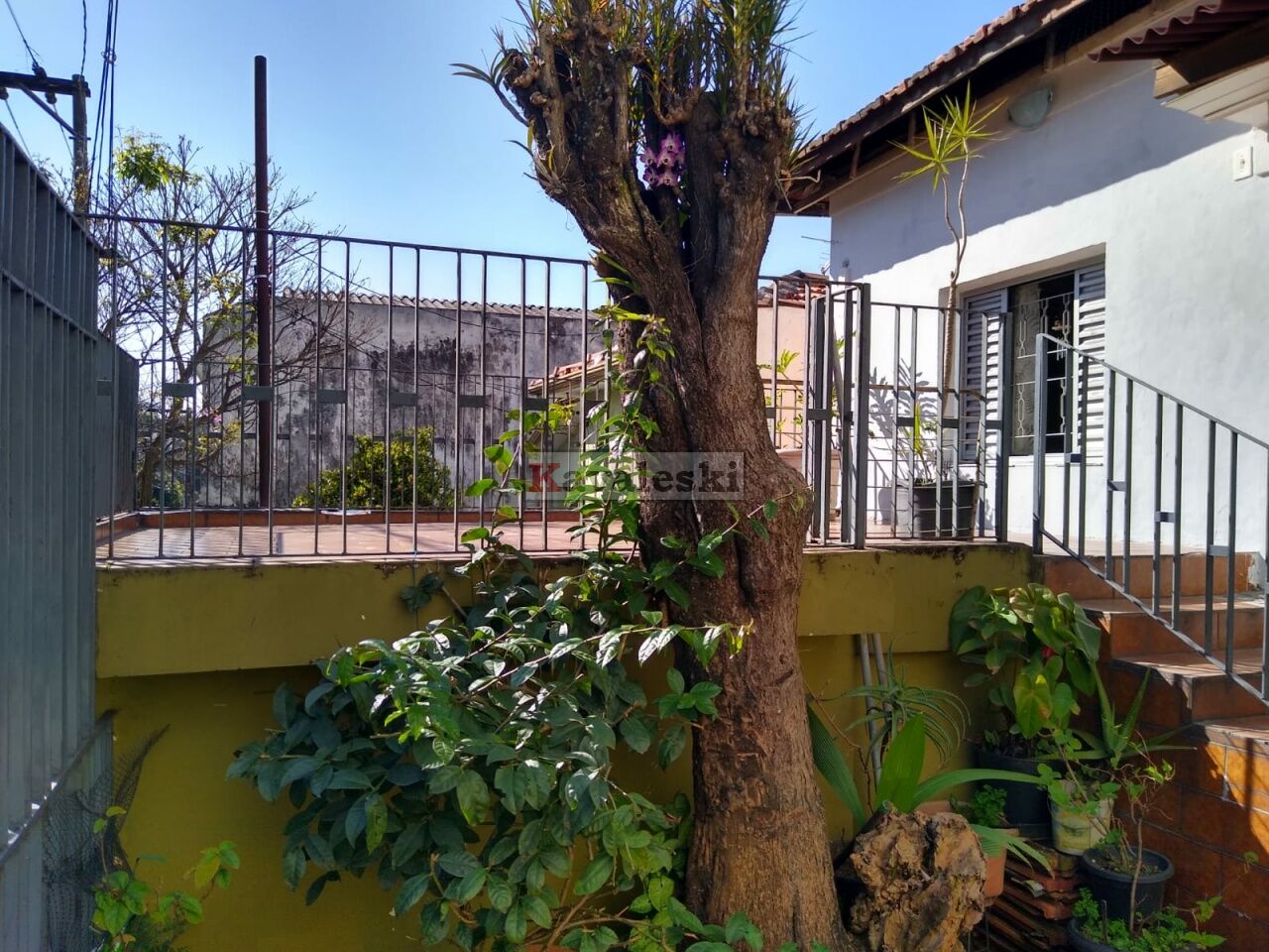 Casa Térrea para Venda - VILA BRASILINA