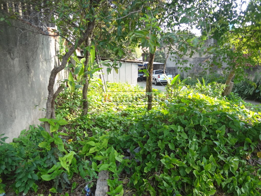 Terreno para Venda - VILA SANTO ESTÉFANO