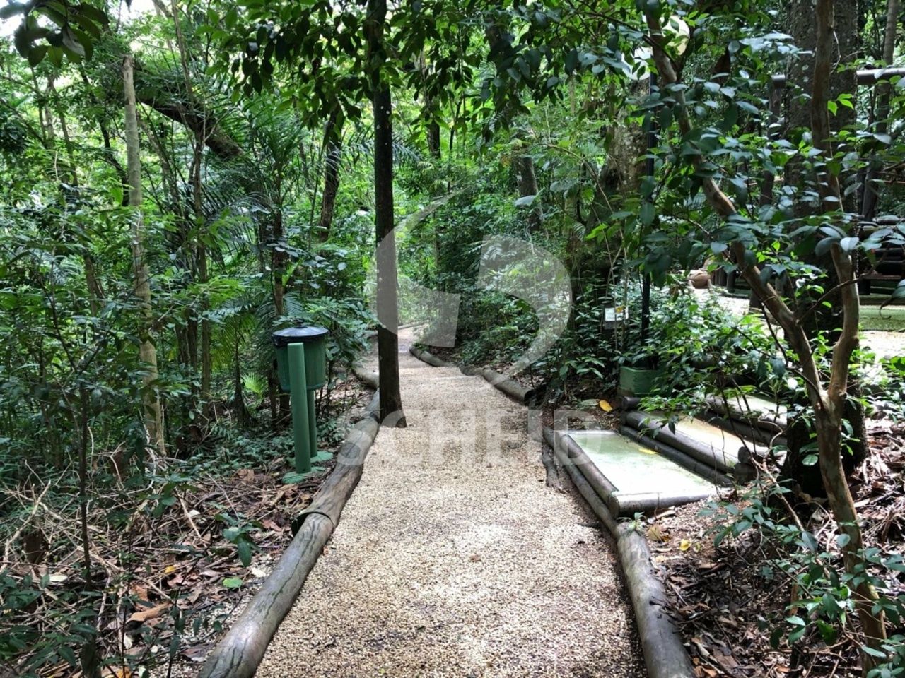 Foto 42