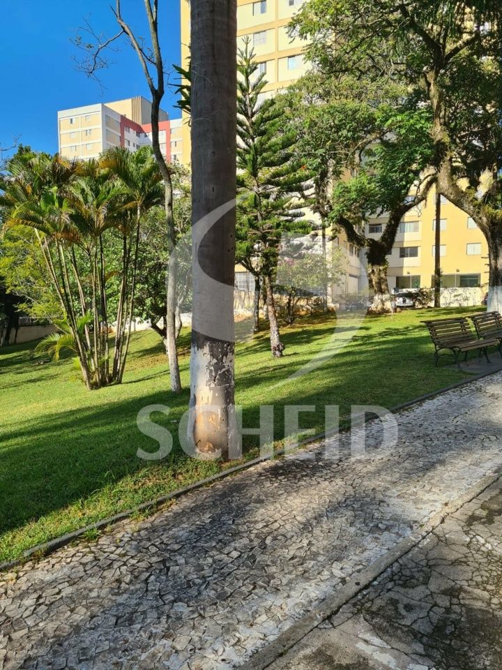 Foto 44