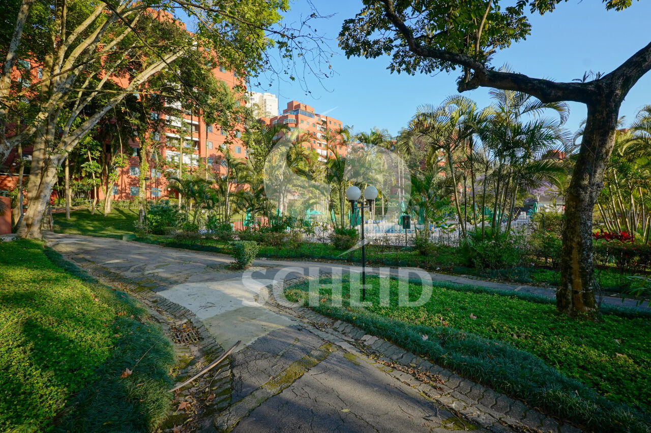 Foto 50