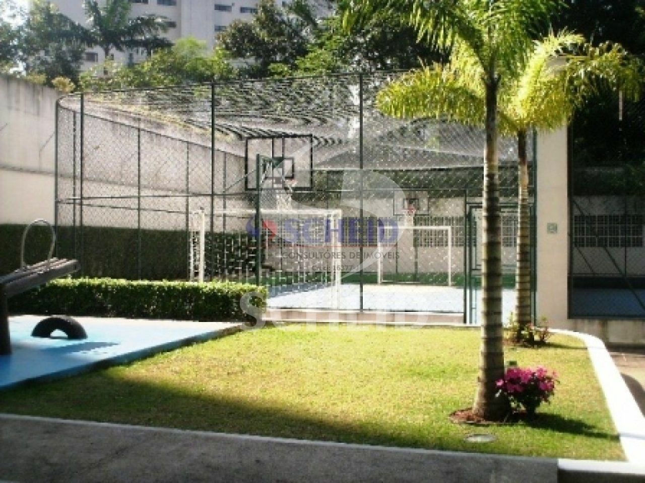 Foto 7