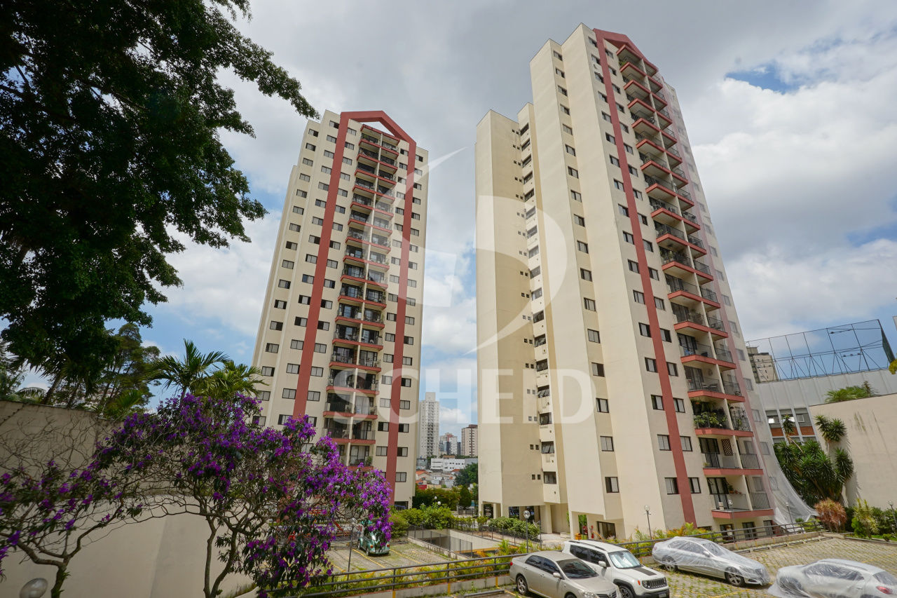 Foto 42