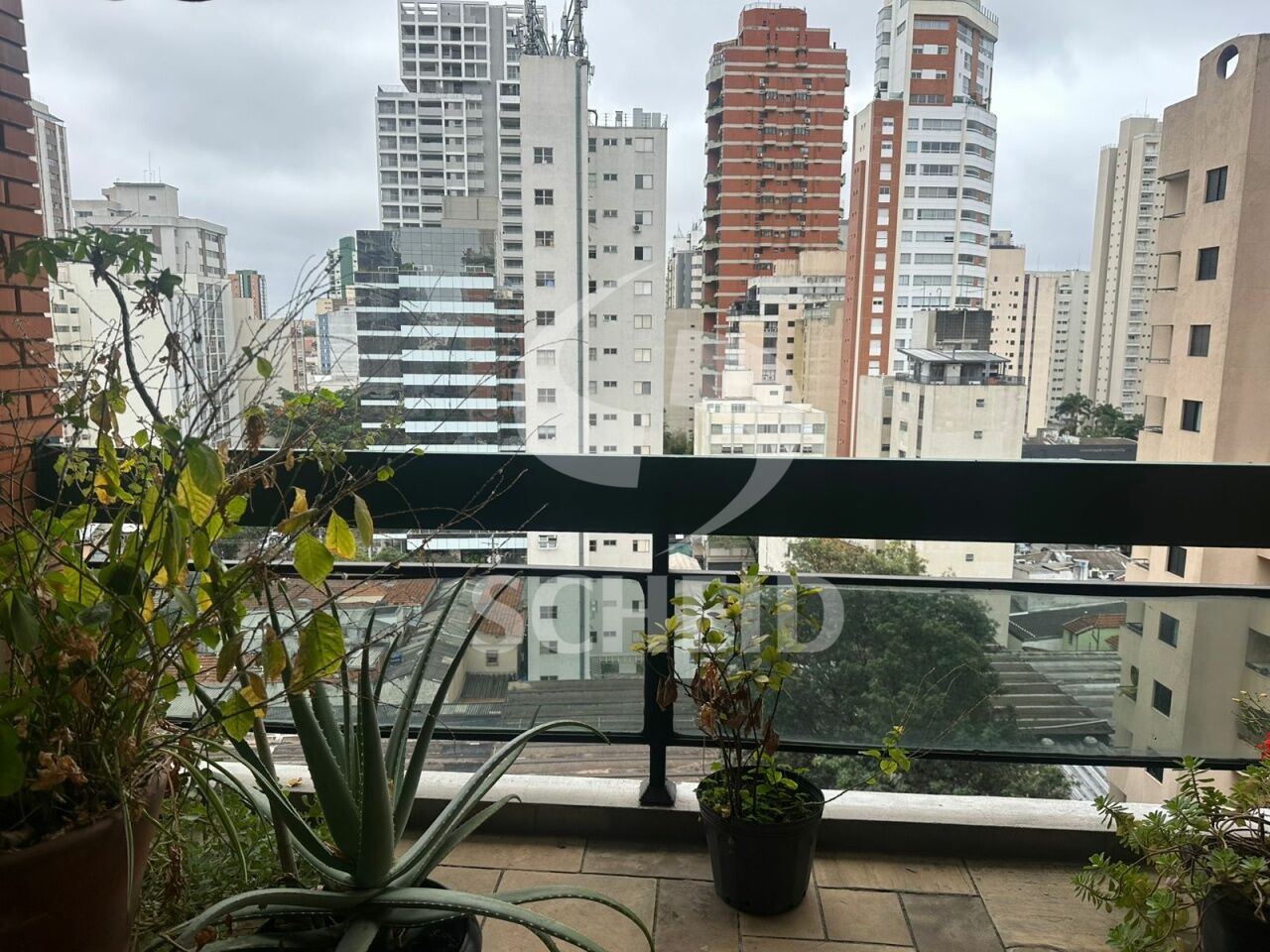 Foto 24