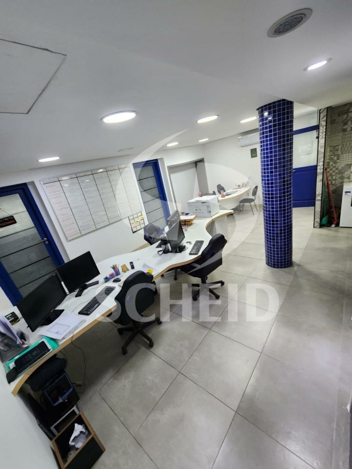 Foto 7