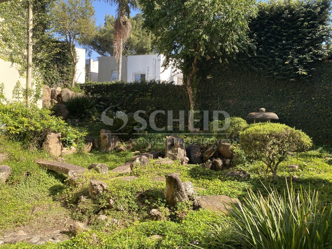 Foto 19
