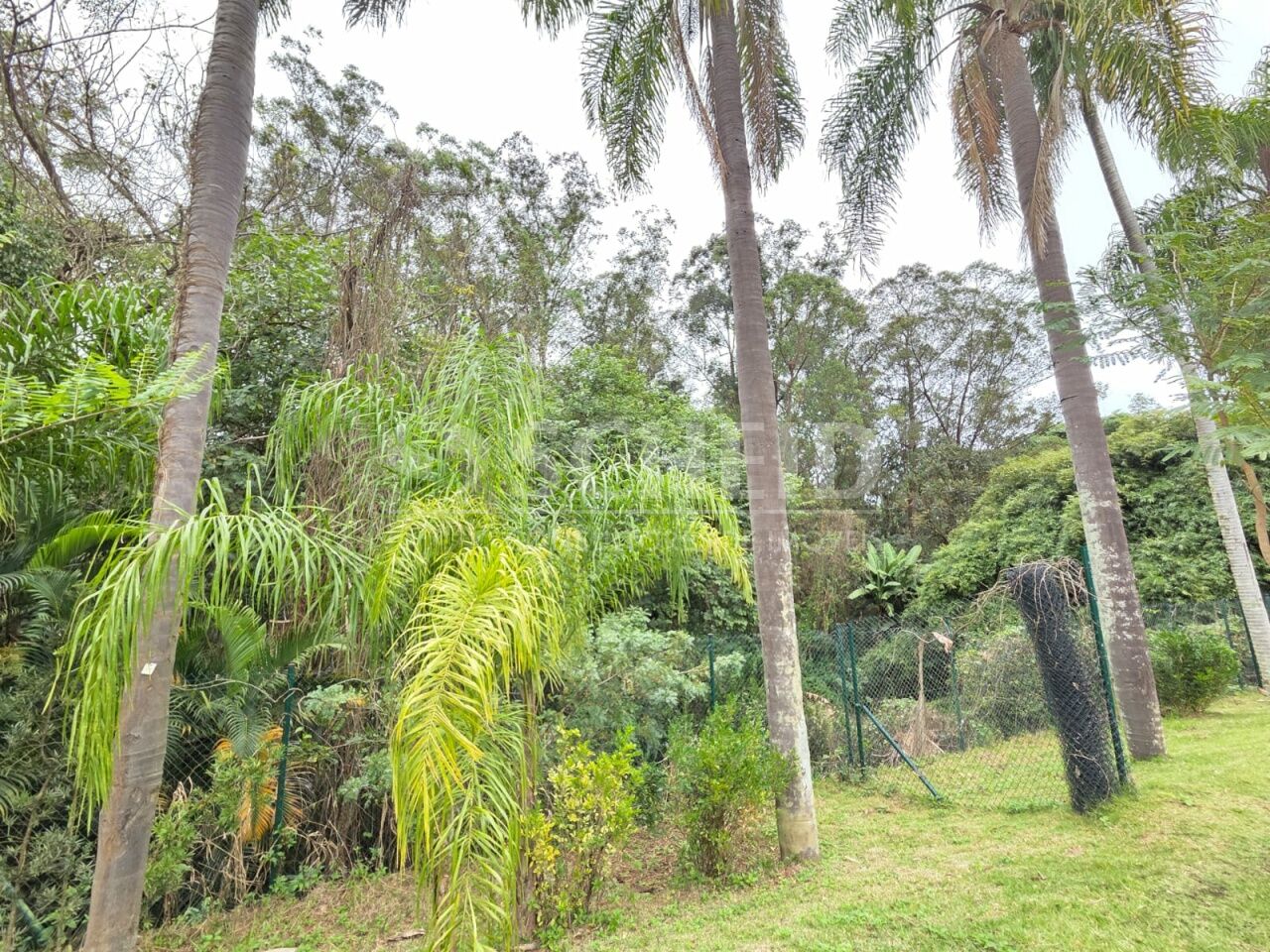 Foto 7