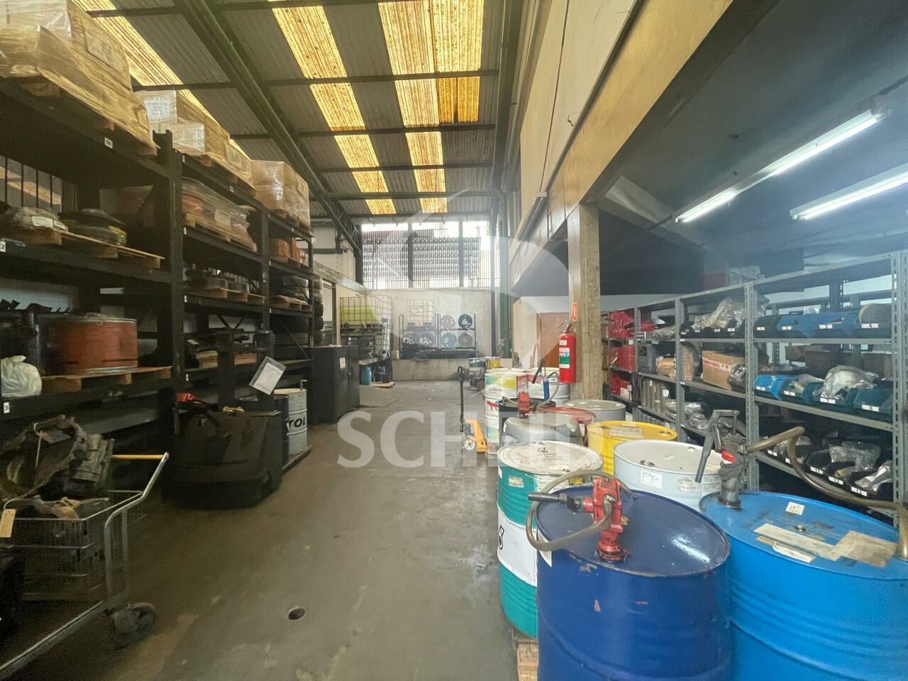 Foto 11
