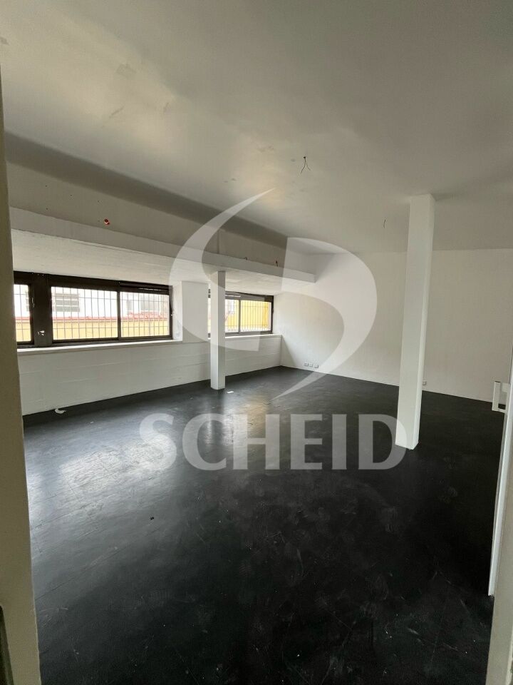 Foto 15